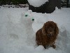 [Chester and his snowdog]