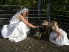 [...Treacle meets the bride]